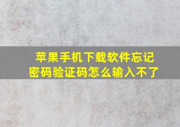 苹果手机下载软件忘记密码验证码怎么输入不了