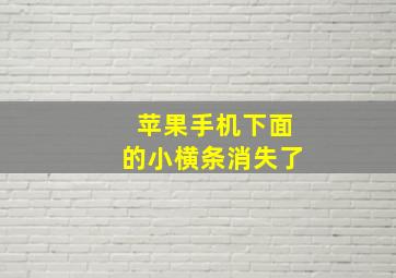 苹果手机下面的小横条消失了