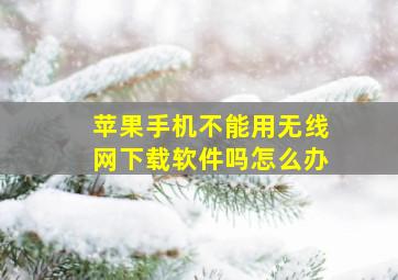 苹果手机不能用无线网下载软件吗怎么办