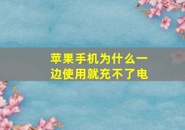 苹果手机为什么一边使用就充不了电