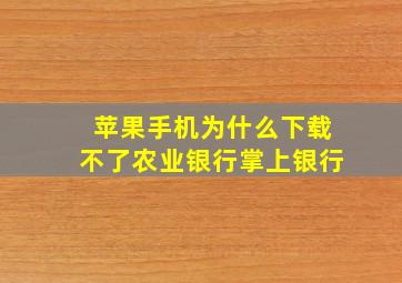 苹果手机为什么下载不了农业银行掌上银行