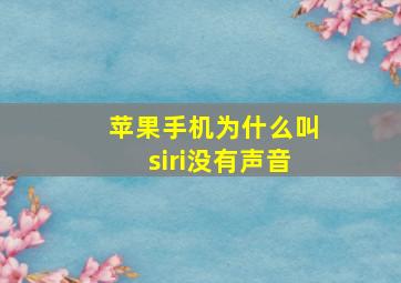 苹果手机为什么叫siri没有声音