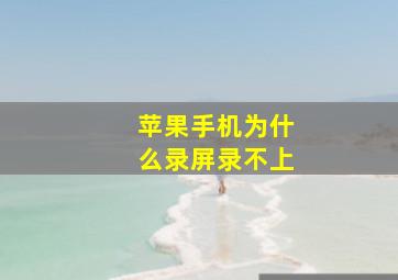 苹果手机为什么录屏录不上