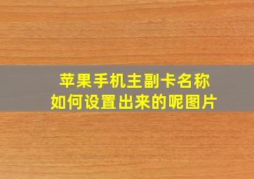 苹果手机主副卡名称如何设置出来的呢图片