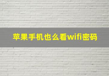 苹果手机也么看wifi密码