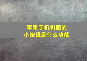 苹果手机侧面的小按钮是什么功能