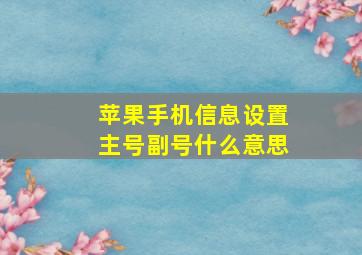 苹果手机信息设置主号副号什么意思