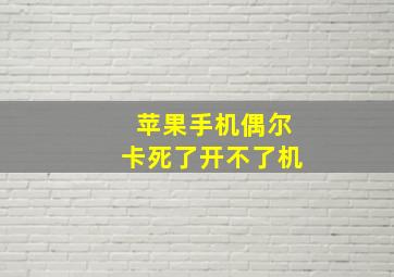 苹果手机偶尔卡死了开不了机