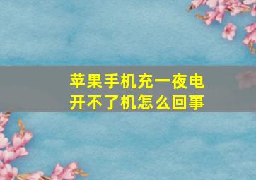 苹果手机充一夜电开不了机怎么回事