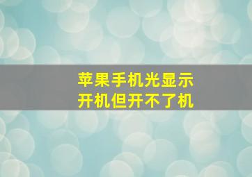 苹果手机光显示开机但开不了机