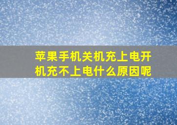 苹果手机关机充上电开机充不上电什么原因呢