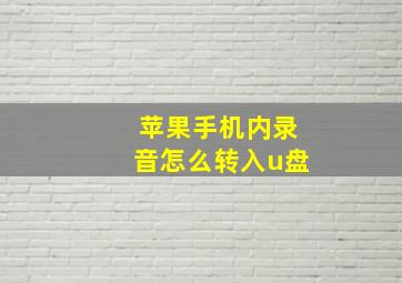 苹果手机内录音怎么转入u盘