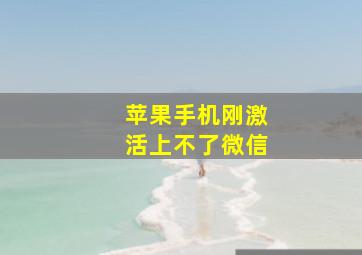 苹果手机刚激活上不了微信