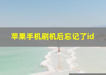 苹果手机刷机后忘记了id