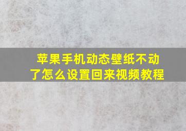 苹果手机动态壁纸不动了怎么设置回来视频教程