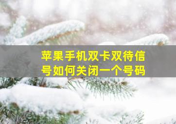 苹果手机双卡双待信号如何关闭一个号码