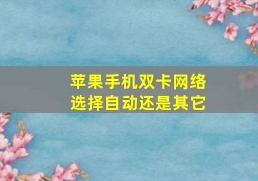 苹果手机双卡网络选择自动还是其它