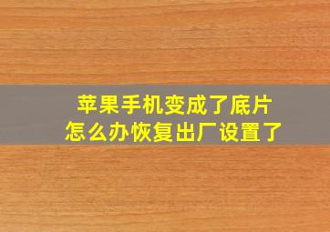 苹果手机变成了底片怎么办恢复出厂设置了