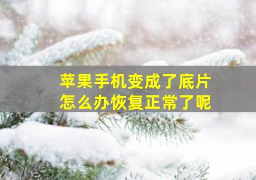 苹果手机变成了底片怎么办恢复正常了呢