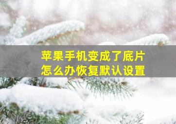 苹果手机变成了底片怎么办恢复默认设置