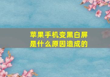 苹果手机变黑白屏是什么原因造成的