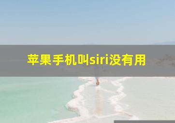 苹果手机叫siri没有用