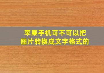 苹果手机可不可以把图片转换成文字格式的