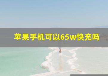 苹果手机可以65w快充吗