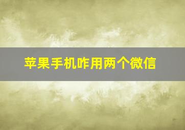 苹果手机咋用两个微信