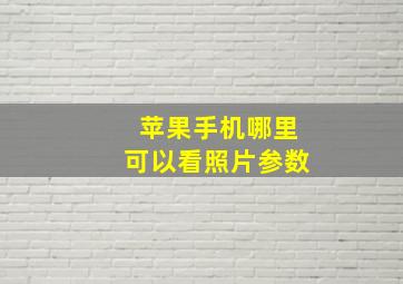 苹果手机哪里可以看照片参数