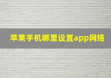 苹果手机哪里设置app网络