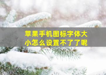 苹果手机图标字体大小怎么设置不了了呢