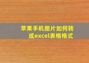 苹果手机图片如何转成excel表格格式