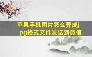 苹果手机图片怎么弄成jpg格式文件发送到微信