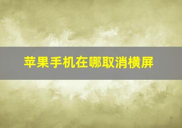 苹果手机在哪取消横屏