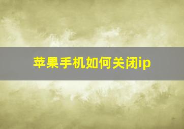 苹果手机如何关闭ip