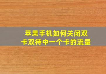 苹果手机如何关闭双卡双待中一个卡的流量