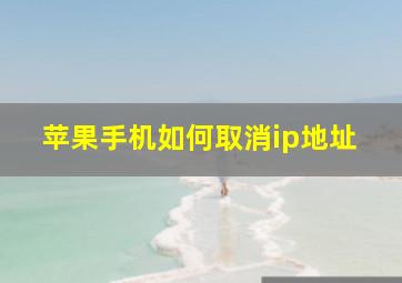 苹果手机如何取消ip地址