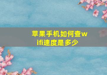 苹果手机如何查wifi速度是多少