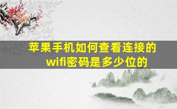 苹果手机如何查看连接的wifi密码是多少位的