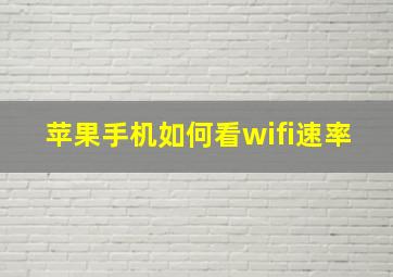 苹果手机如何看wifi速率