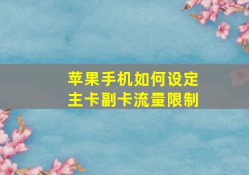 苹果手机如何设定主卡副卡流量限制