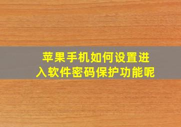 苹果手机如何设置进入软件密码保护功能呢