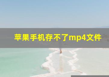 苹果手机存不了mp4文件