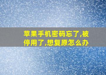 苹果手机密码忘了,被停用了,想复原怎么办