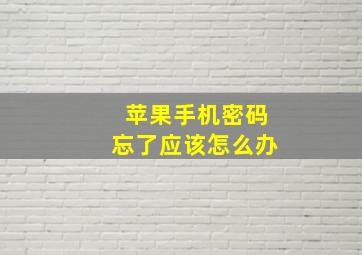 苹果手机密码忘了应该怎么办