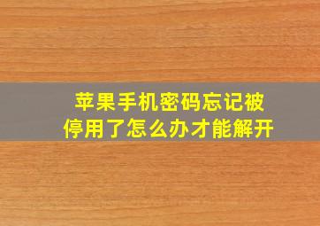 苹果手机密码忘记被停用了怎么办才能解开