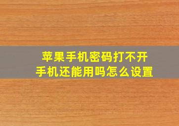 苹果手机密码打不开手机还能用吗怎么设置