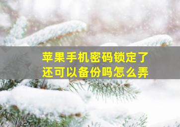 苹果手机密码锁定了还可以备份吗怎么弄