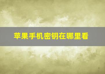 苹果手机密钥在哪里看